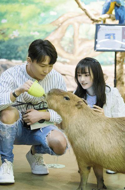 张恒爆料狗狗视频大全,狗狗视频大全,萌宠瞬间集结 第1张 张恒爆料狗狗视频大全,狗狗视频大全,萌宠瞬间集结 第1张